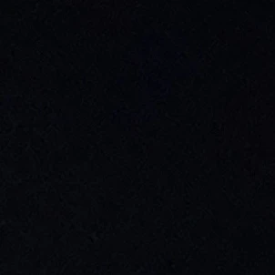 김동현