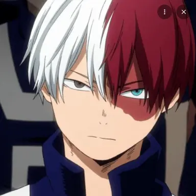 Profile image of Shoto Todoroki