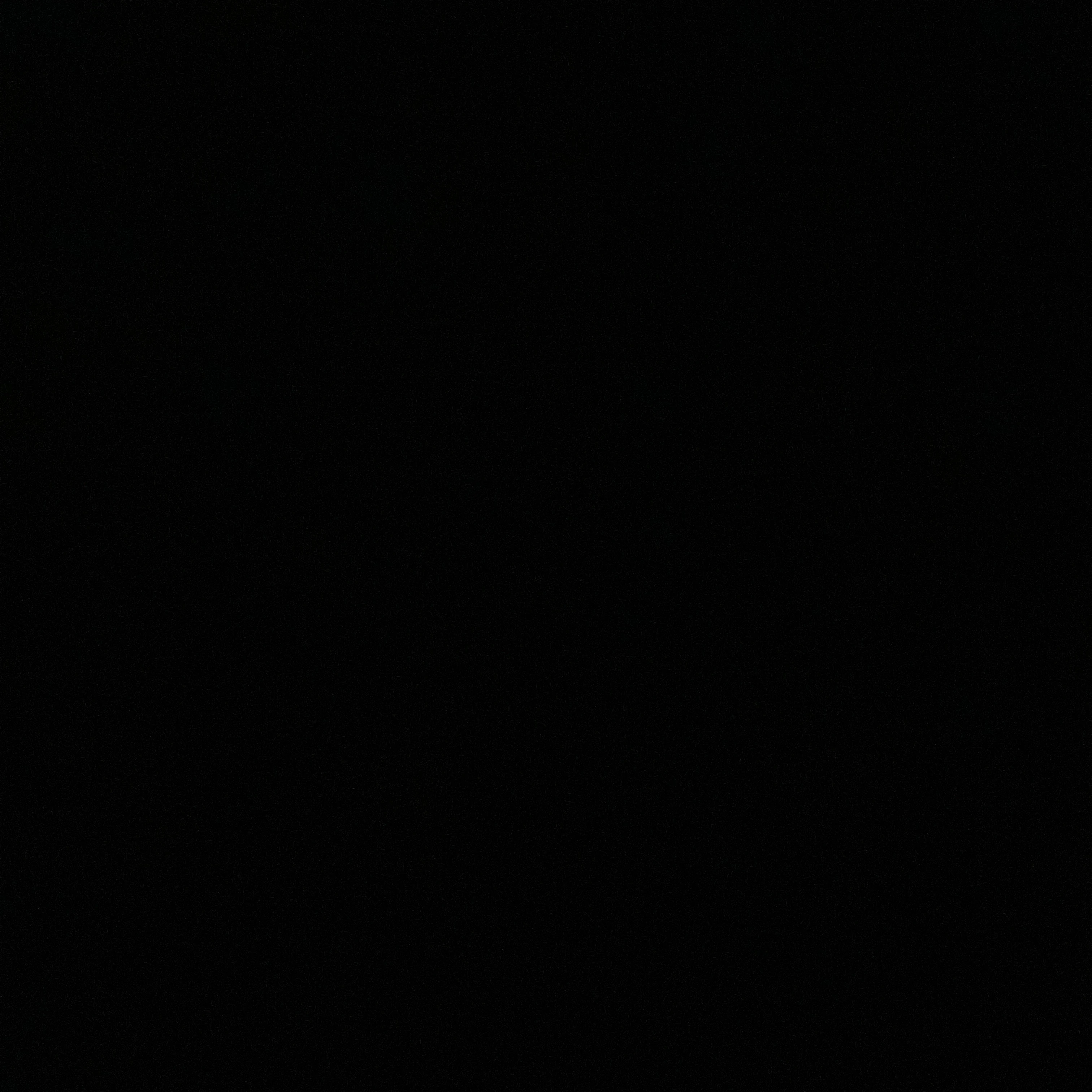 カントリーヒューマ達