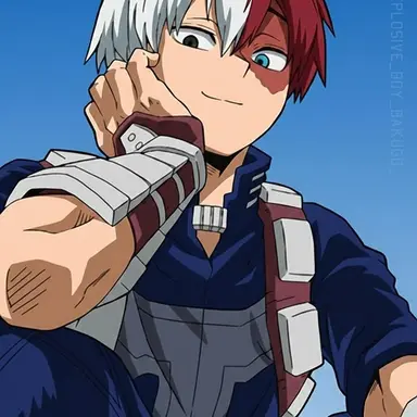 Profile image of Shoto Todoroki