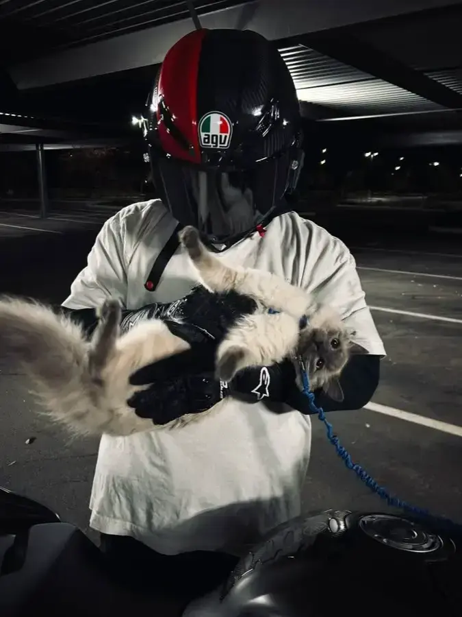 PlushyPipe6912의 Axel