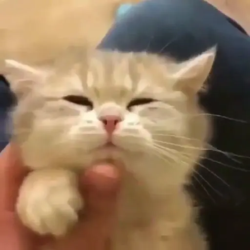 gegury의 포세이큰 애들과 여행