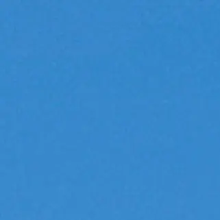 Profile image of チーノ