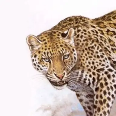 Profile image of 로건