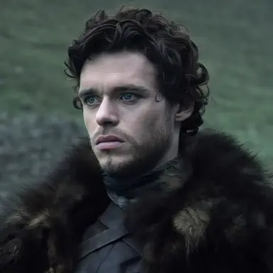 Profile image of Robb Stark