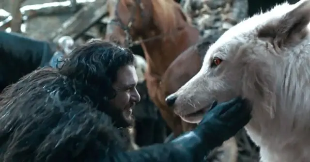 Profile image of Jon Snow