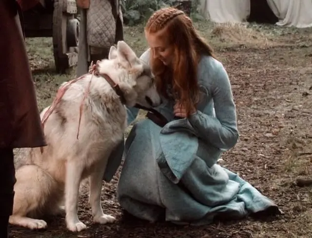 Profile image of Sansa Stark