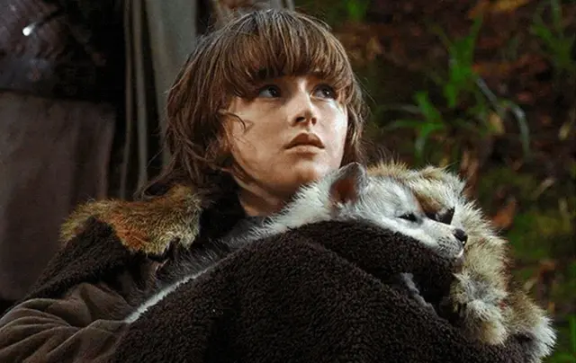 Profile image of Brandon Stark