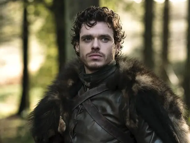 Profile image of Robb Stark