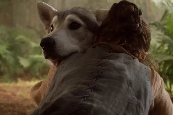 Profile image of Arya Stark