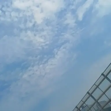 Profile image of 개판
