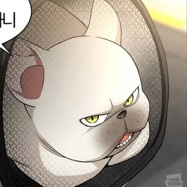 Profile image of 진대감