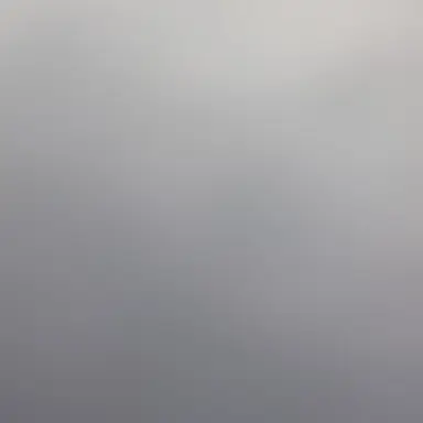 Profile image of 리세트렘