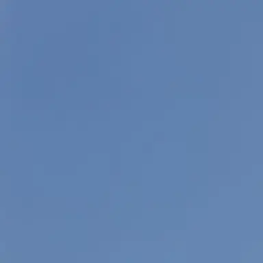 Profile image of ツラユキ