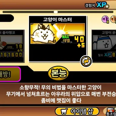 Profile image of 고양이마스터
