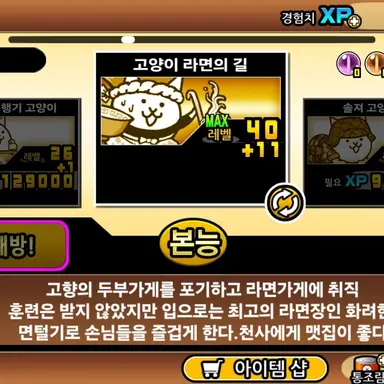 Profile image of 라면의길