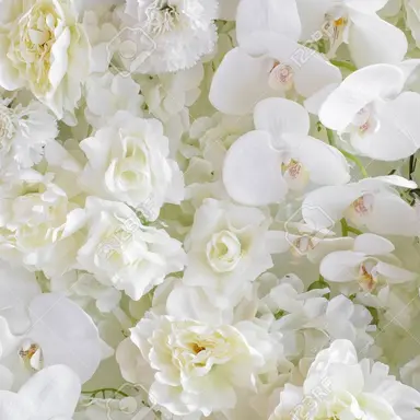 Profile image of 서우연