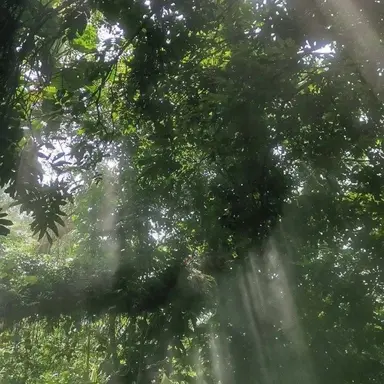 Profile image of 정형준