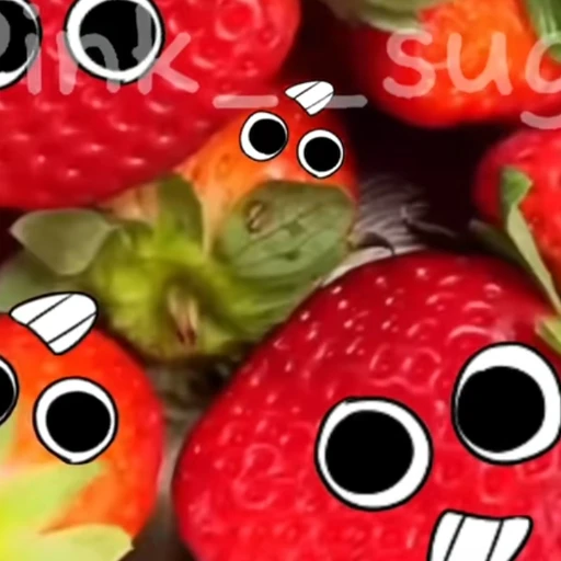 스프라우트