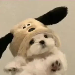 Profile image of きいろのこ