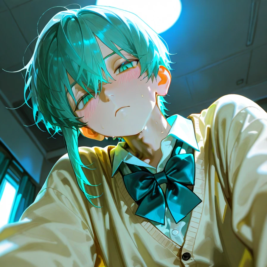葵
