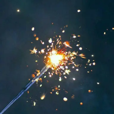 Profile image of 탄