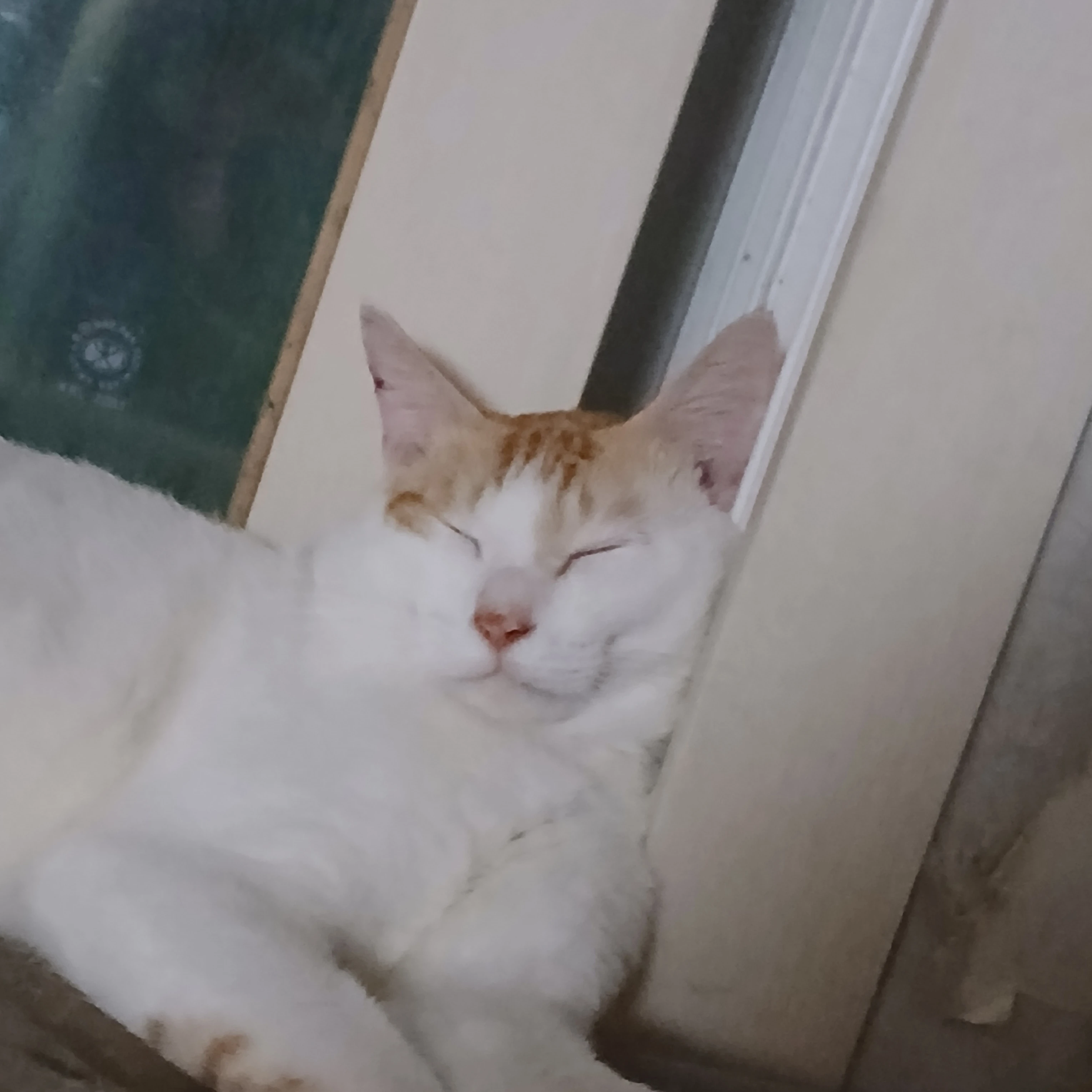남주