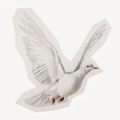 Profile image of 키벨