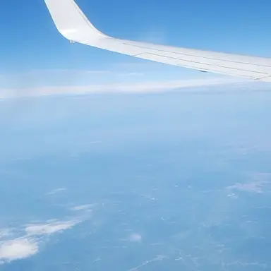 Profile image of 김지우