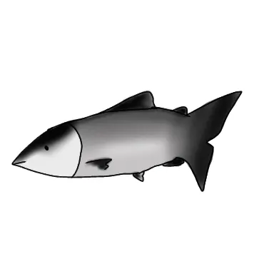 Profile image of 연어