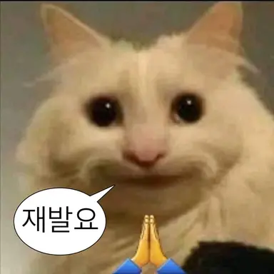 Profile image of 정하랑