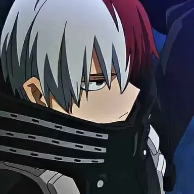Profile image of Shoto Todoroki
