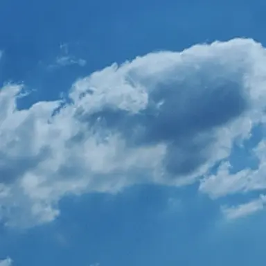 Profile image of 한여우