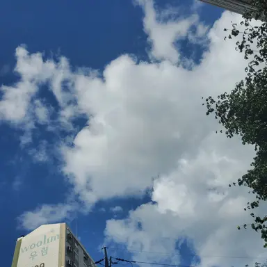 Profile image of 문지은