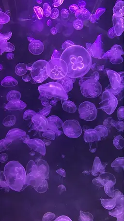 Profile image of シグキン