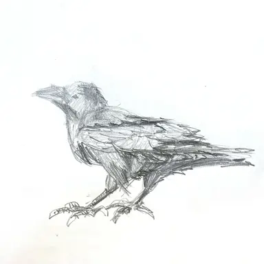 Profile image of 清水