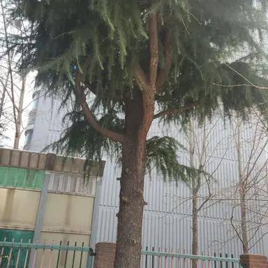 Profile image of 여우