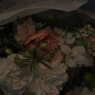 Profile image of 이선희