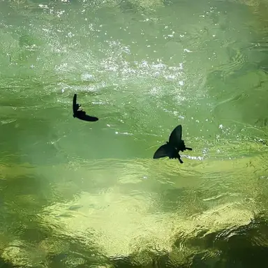 Profile image of 김현정