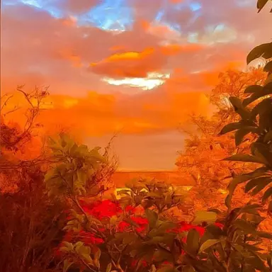 Profile image of 박덕개