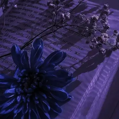 Profile image of 이자현