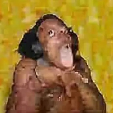 Profile image of Logan