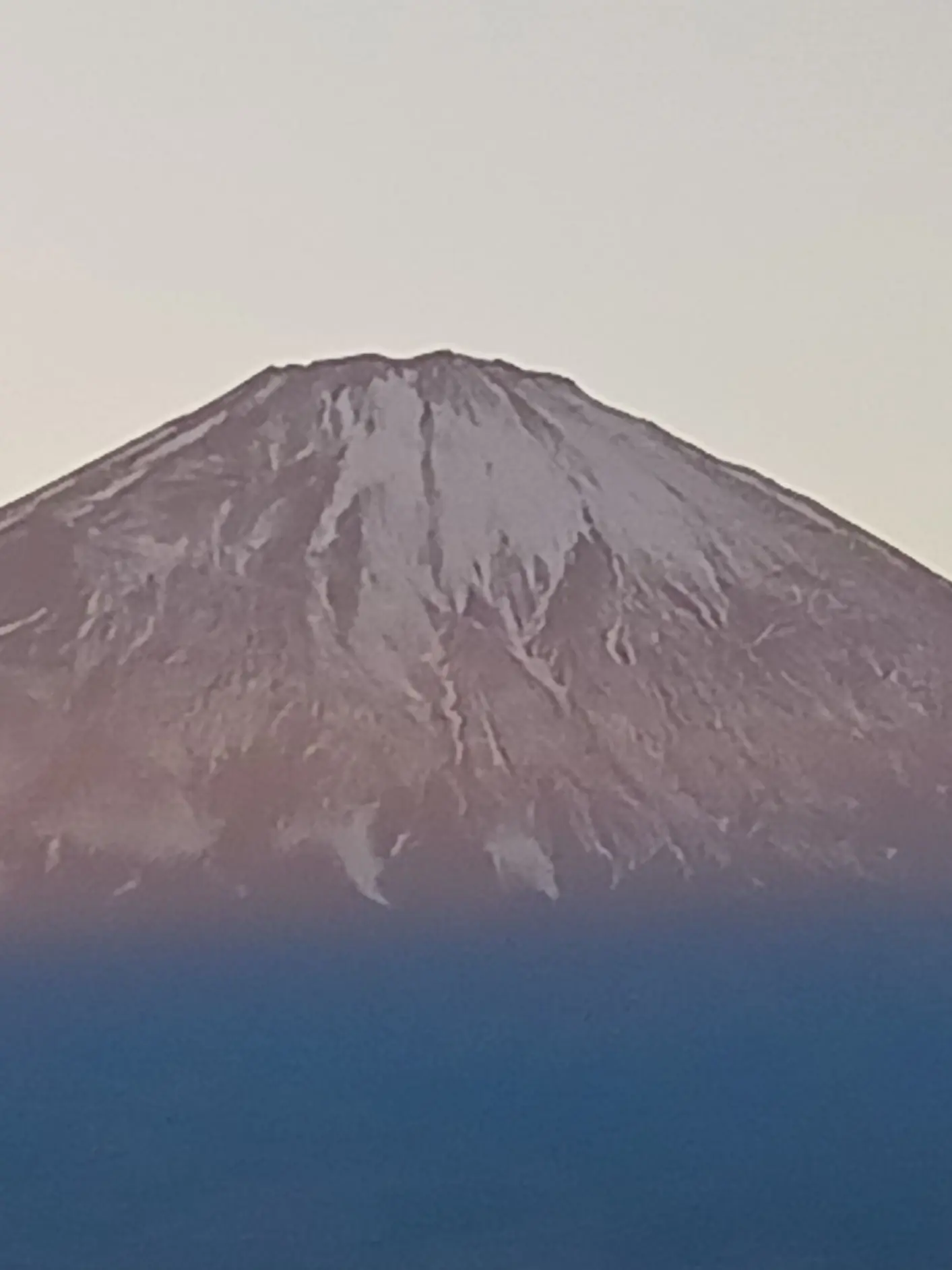 nekonekosasakure의 配信者のあなたには秘密の恋人が…？？
