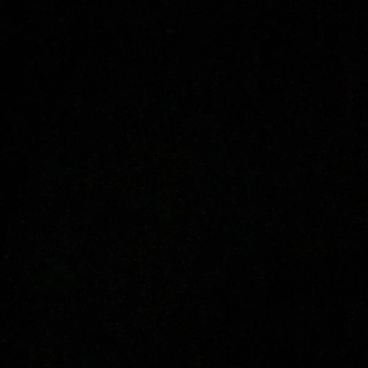 S.yen_1의 오시온