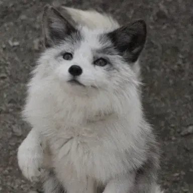 Profile image of 이연