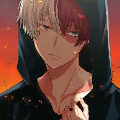 Profile image of Shoto Todoroki