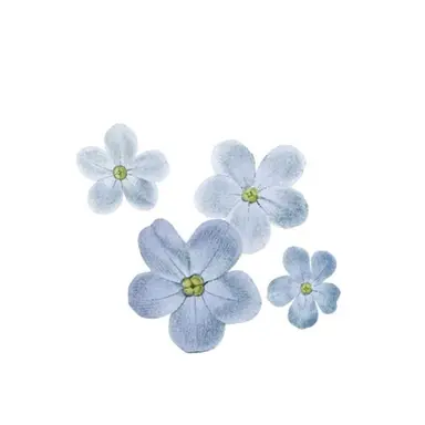 Profile image of あいす