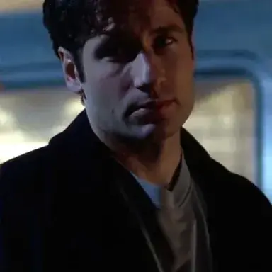 Profile image of Fox