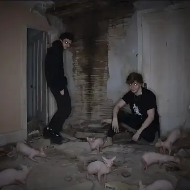 Profile image of Liam x Finn