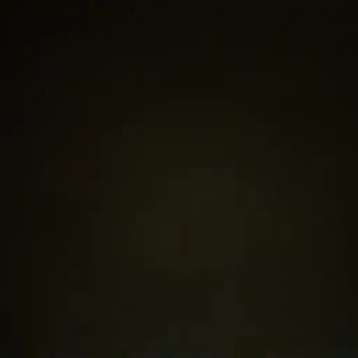 _SVT의 윥정핝